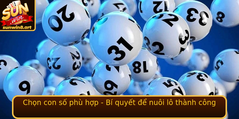Chọn con số phù hợp - Bí quyết để nuôi lô thành công